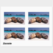 Zee leeuwen op strand | Ecuador Rechthoekige Sticker (Vel)
