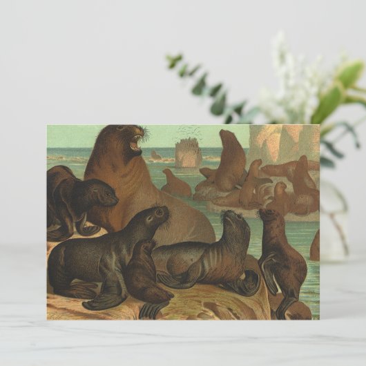  Zee leeuwen op strand, zeedier (Staand voorkant)