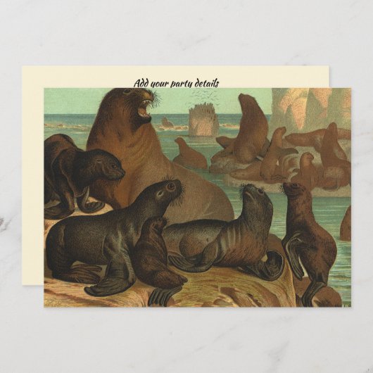  Zee leeuwen op strand, zeedier (Voorkant / Achterkant)