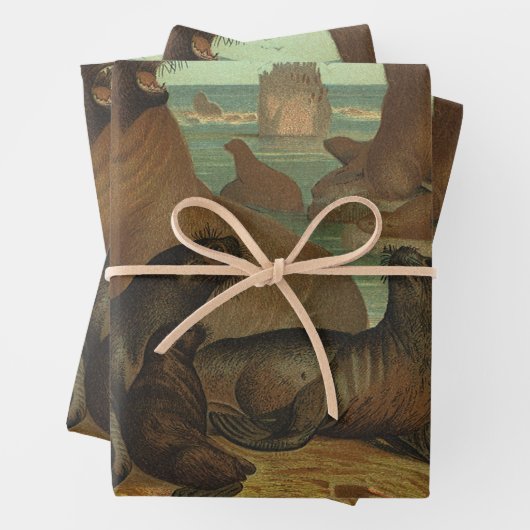 Zee leeuwen op strand, zeedier Inpakpapier Vel (In situ)