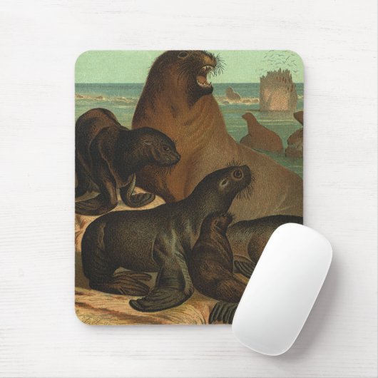  Zee leeuwen op strand, zeedier Muismat (Met muis)