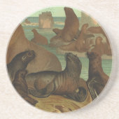 Zee leeuwen op strand, zeedier Zandsteen Onderzetter (Voorkant)