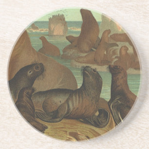 Zee leeuwen op strand, zeedier Zandsteen Onderzetter