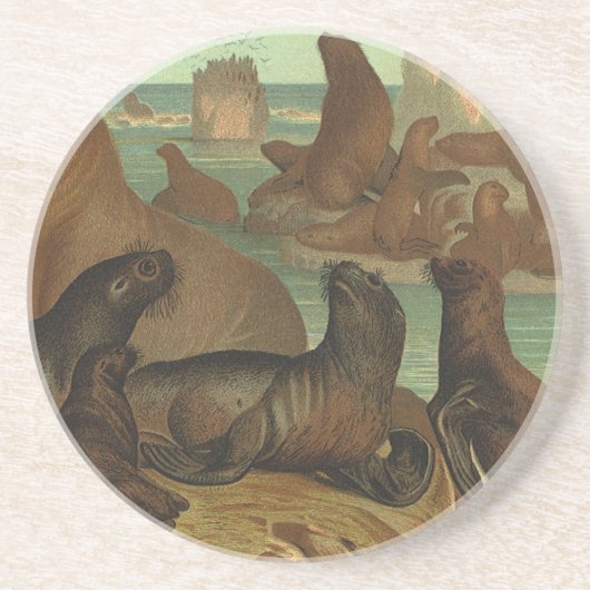  Zee leeuwen op strand, zeedier Zandsteen Onderzetter (Voorkant)