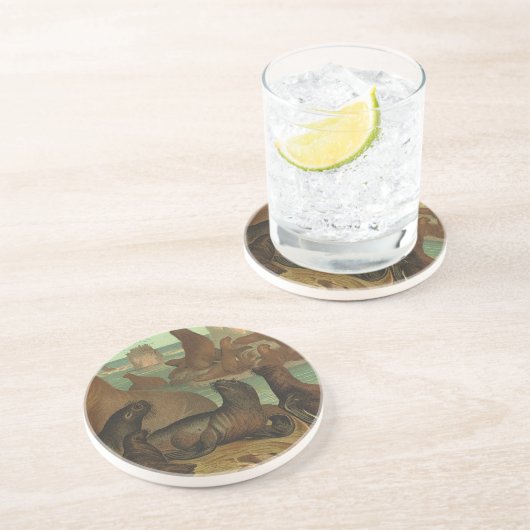 Zee leeuwen op strand, zeedier Zandsteen Onderzetter (Zijkant)