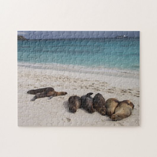 Zee leeuwen puzzel (Horizontaal)