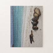 Zee leeuwen puzzel (Verticaal)
