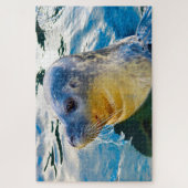 Zee leeuwen van onze zeeen legpuzzel (Verticaal)