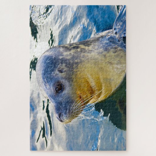 Zee leeuwen van onze zeeen legpuzzel (Verticaal)