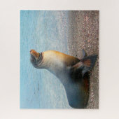 Zee leeuwen van onze zeeen legpuzzel (Verticaal)