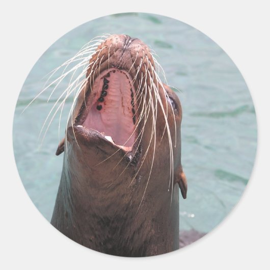 Zee Leeuwenmond Open Sticker (Voorkant)
