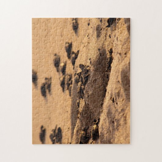 Zee Legpuzzel (Verticaal)