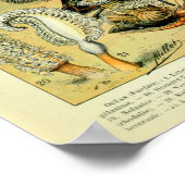  Zee leven door Adolphe Millot Poster (Hoek)