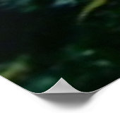 Zee leven poster (Hoek)