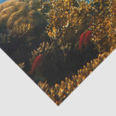 zee leven tissuepapier (Detail)