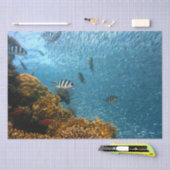 zee leven tissuepapier (Craft)