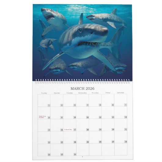 Zee levenskalender 2021 kalender (Mar 2026)