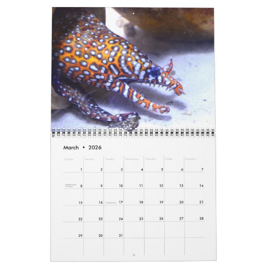 Zee levenskalender kalender (Mar 2026)