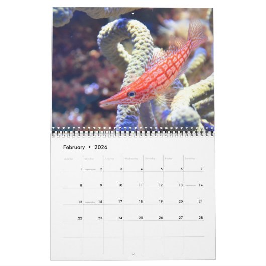 Zee levenskalender kalender (Feb 2026)