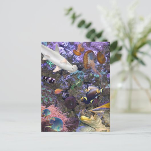 Zee Life Briefkaart (Staand voorkant)