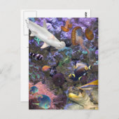 Zee Life Briefkaart (Voorkant / Achterkant)