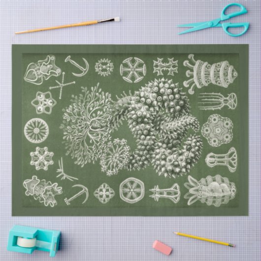  Zee Life Decoupage Tissue Paper Tissuepapier (Craft)