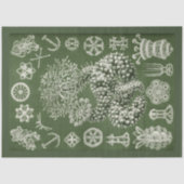  Zee Life Decoupage Tissue Paper Tissuepapier (Voorkant)