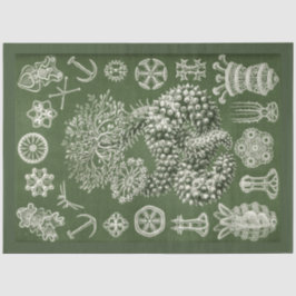  Zee Life Decoupage Tissue Paper Tissuepapier