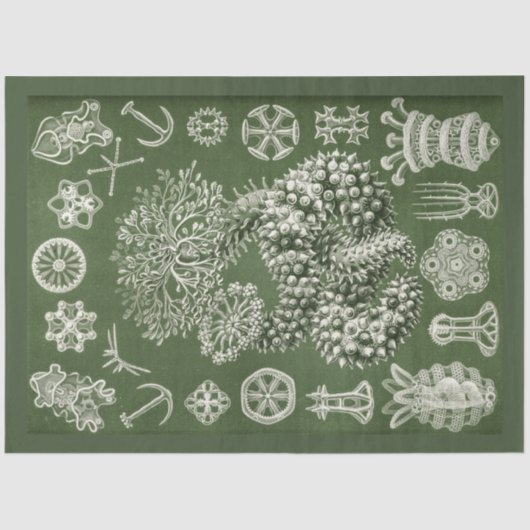  Zee Life Decoupage Tissue Paper Tissuepapier (Voorkant)