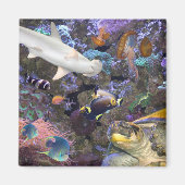 Zee Life Magnet (Voorkant)