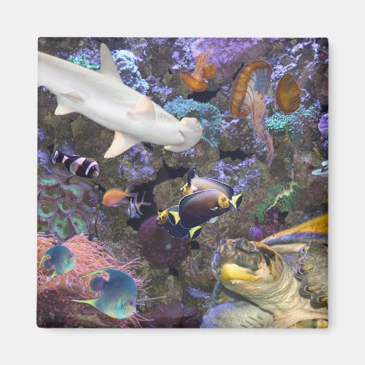 Zee Life Magnet (Voorkant)