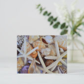 Zee Life Menagerie Briefkaart (Staand voorkant)