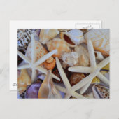 Zee Life Menagerie Briefkaart (Voorkant / Achterkant)