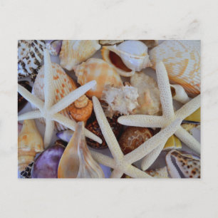 Zee Life Menagerie Briefkaart