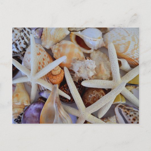 Zee Life Menagerie Briefkaart (Voorkant)