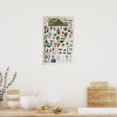  Zee Life Mollusks Poster (Keuken)