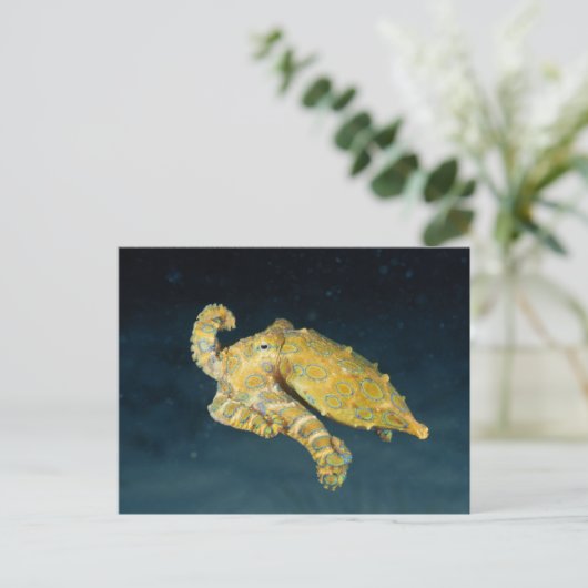 Zee Life - Octopus Briefkaart (Staand voorkant)