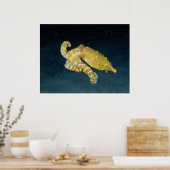 Zee Life - Octopus Poster (Keuken)