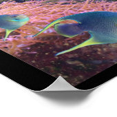 Zee Life Poster (Hoek)