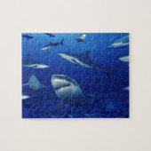 Zee Life Puzzle-Sharks Legpuzzel (Horizontaal)