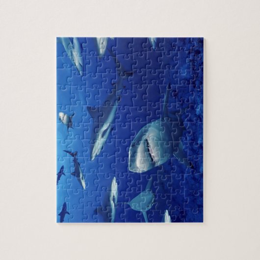 Zee Life Puzzle-Sharks Legpuzzel (Verticaal)