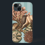 Zee Life Silhouette Case-Mate iPhone Case<br><div class="desc">Deze kunstdrukkunst toont de mooiste dingen in de natuur van de oceaan. Vind alle verschillende soorten het leven van het zee in dit afbeelding met inbegrip van een Conch Seashell, Zand Dollars, en Roodsen die diep in het zee worden begraven. Dit collectie is een must in je volgende Zazzle producten....</div>