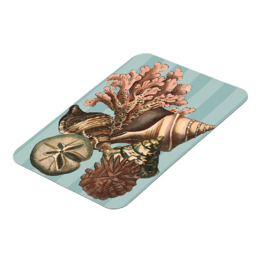 Zee Life Silhouette Magneet (Linkerzijde)