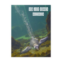 Zee Life Sydney Aquarium in Australië