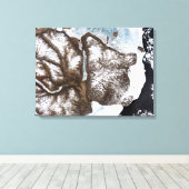 Zee lijnen de kustlijn in het oosten van Greenlan Canvas Afdruk (Insitu (Houten vloer))