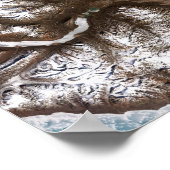 Zee lijnen de kustlijn in het oosten van Greenlan Poster (Hoek)