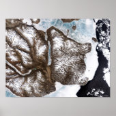 Zee lijnen de kustlijn in het oosten van Greenlan Poster (Voorkant)