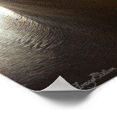 Zee Lion 2 Poster (Hoek)