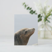 Zee Lion Briefkaart (Staand voorkant)