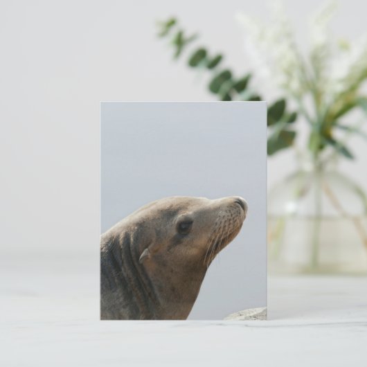 Zee Lion Briefkaart (Staand voorkant)